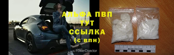 шишки Арсеньев