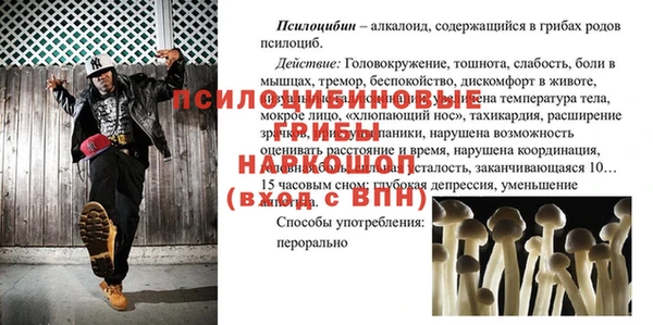 ECSTASY Медногорск