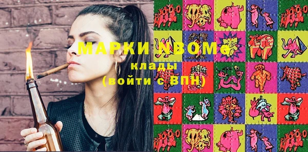 шишки Арсеньев