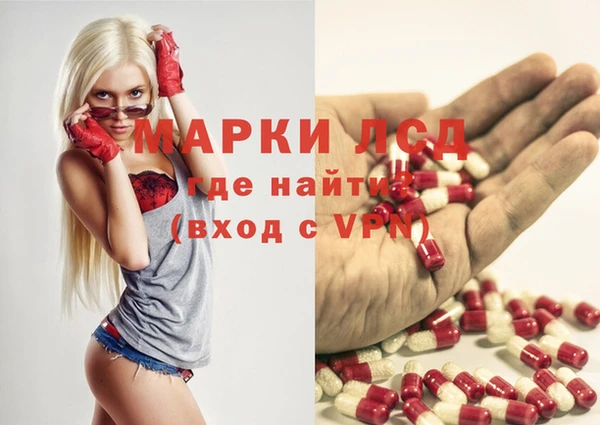 шишки Арсеньев